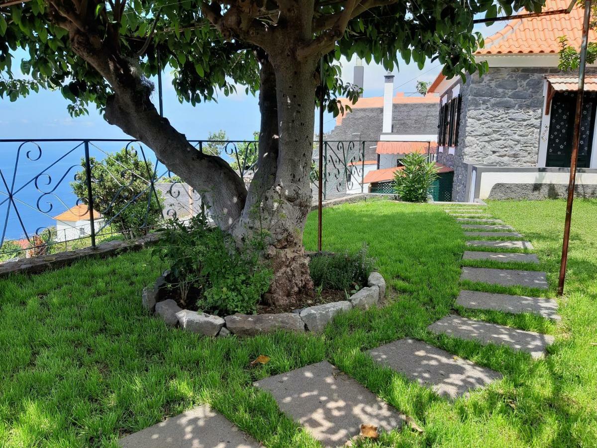 فندق Casa Velha D Fernando E Casa Avo Augusta ريبيرا برافا المظهر الخارجي الصورة