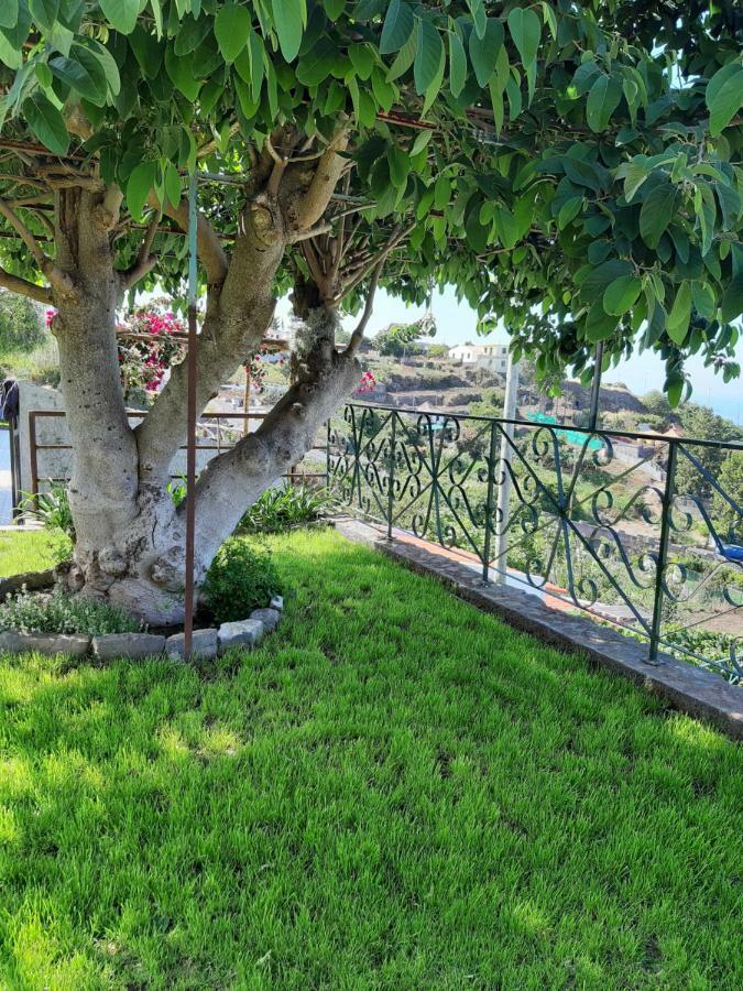 فندق Casa Velha D Fernando E Casa Avo Augusta ريبيرا برافا المظهر الخارجي الصورة